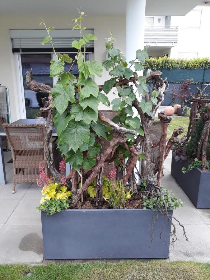 "Nature Erleben" Appartement & Komfortzimmer Velden am Woerthersee Luaran gambar