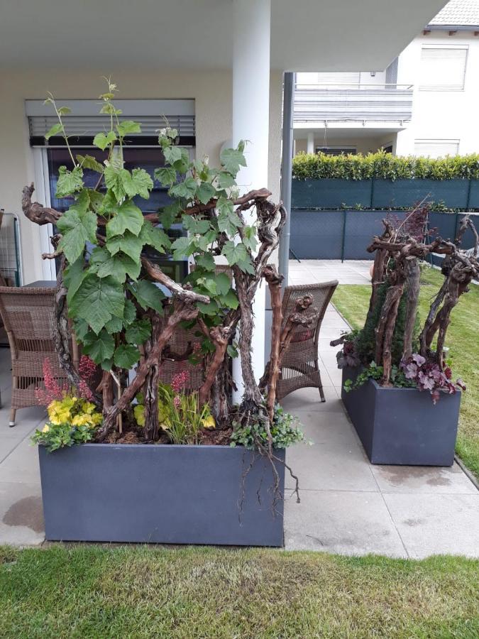 "Nature Erleben" Appartement & Komfortzimmer Velden am Woerthersee Luaran gambar
